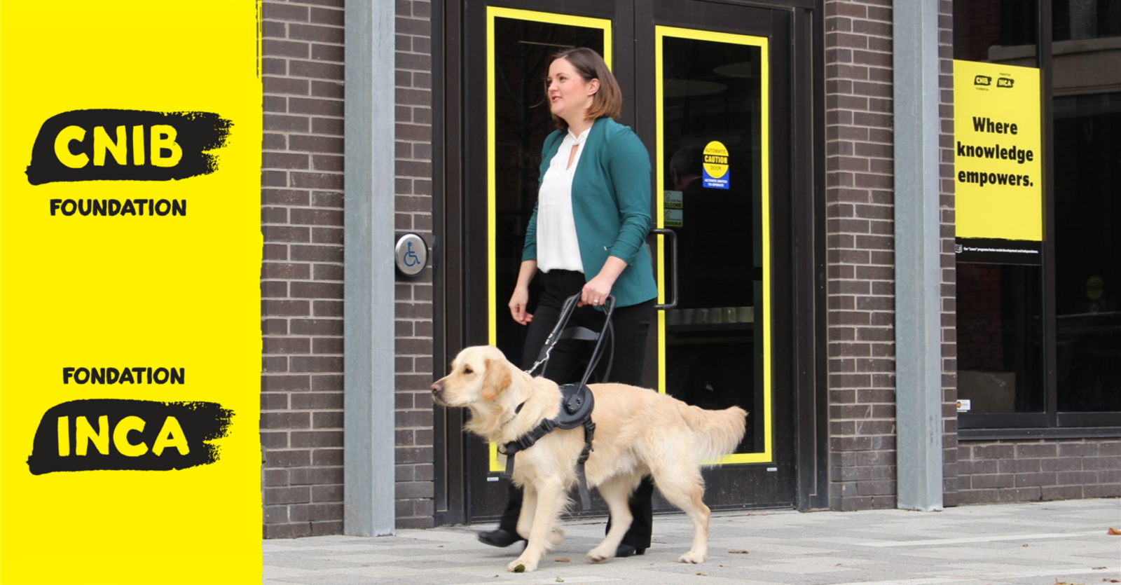 Woman walking with Golden Labrador Guide Dog