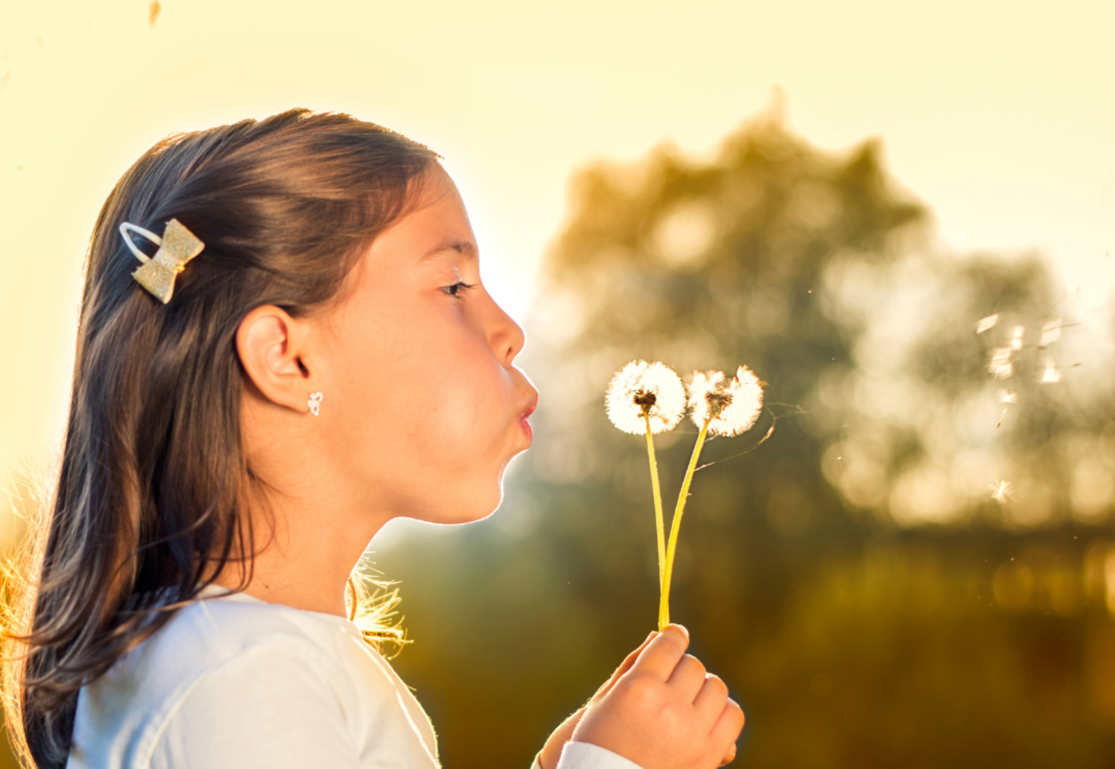 A young person blows the seeds off of a fluffy dandelion