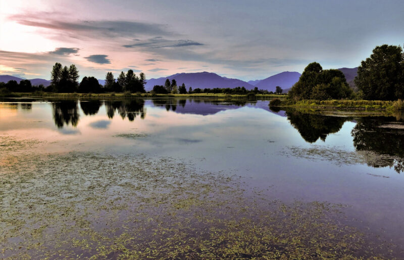 Abbotsford landscape