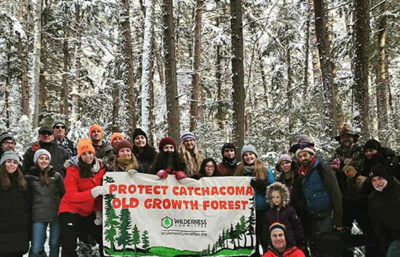 A group of people in a snowy clearing in Catchacoma forest, holding a sign urging old-growth protection.