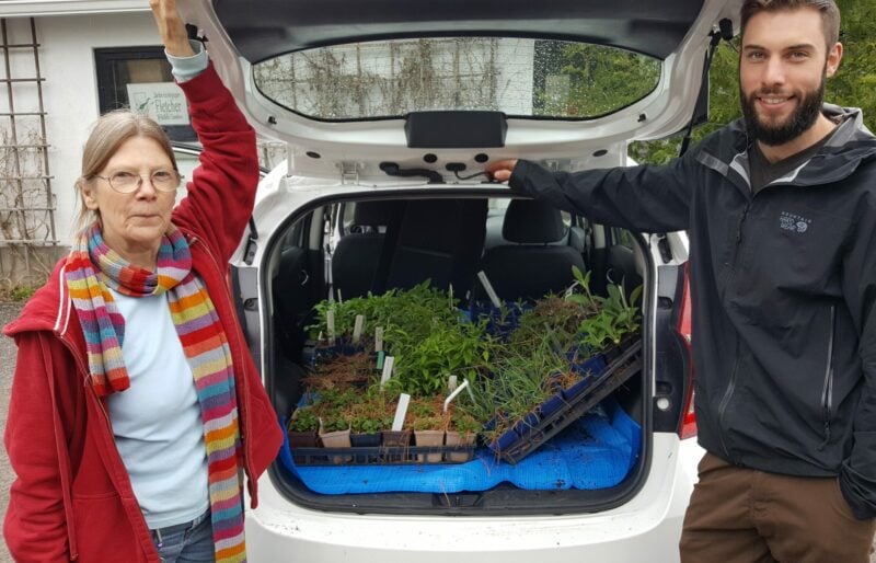 Two people standing next to a car filled with plants for native bees.