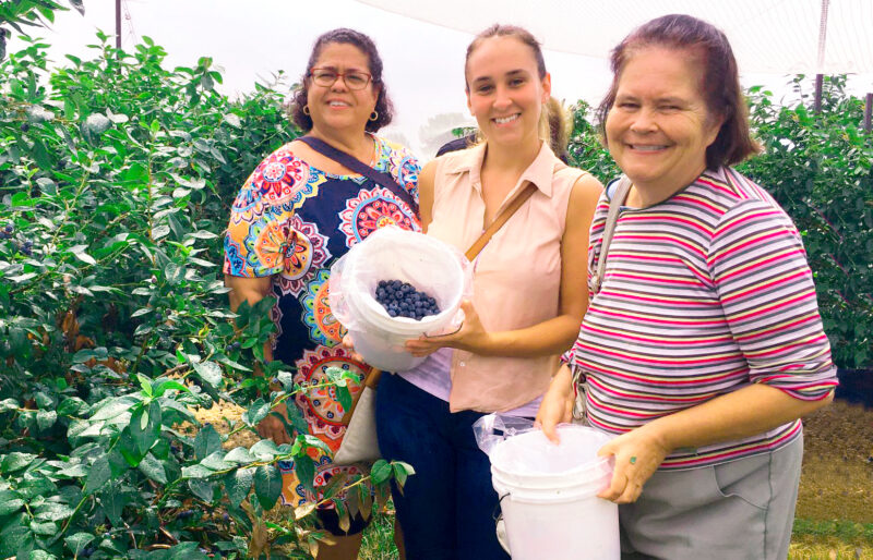 All smiles picking blueberries