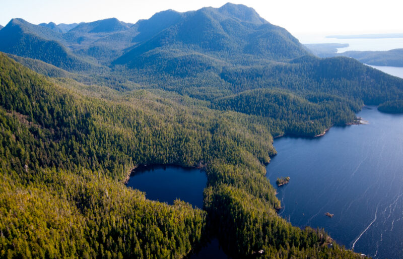 an aerial view of a green and blue coastline with trees and water