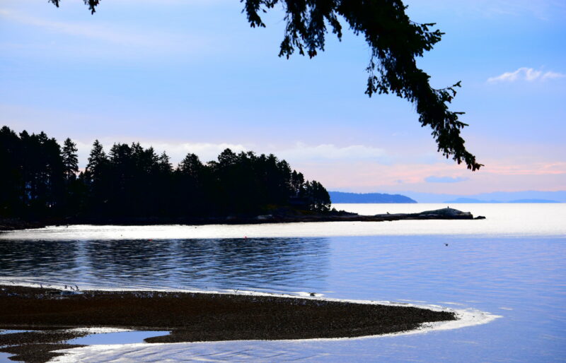 Representing the beauty of the islands of the Salish Sea