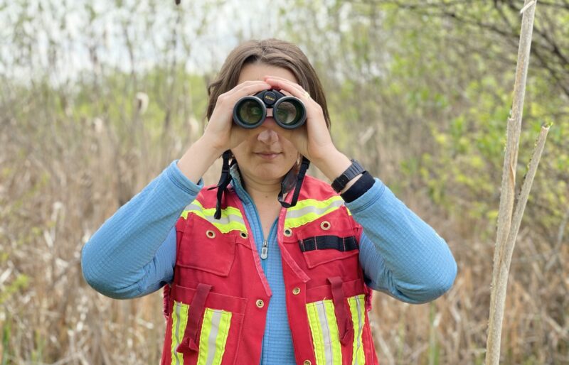 Keeping an eye on the species at risk