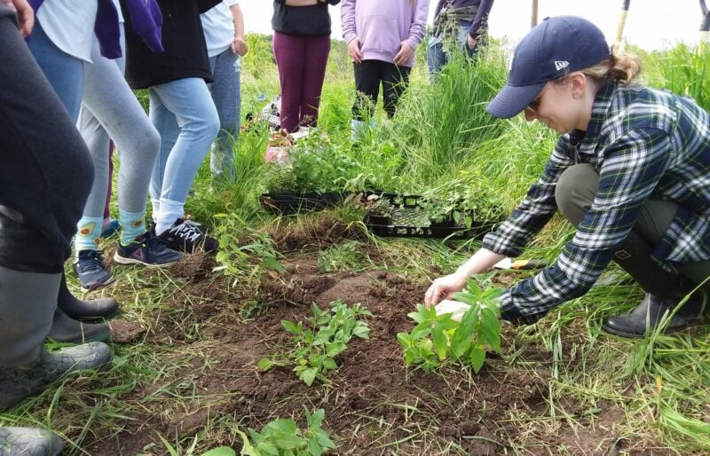 Woman planting with people watching and learning how to plant.