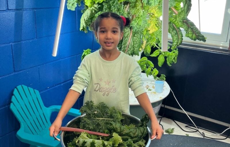 Young black girl holding a steel bowl filled with lettuce and kale, looking at camera, smiling. Behind her is a hydroponic classroom garden tower.