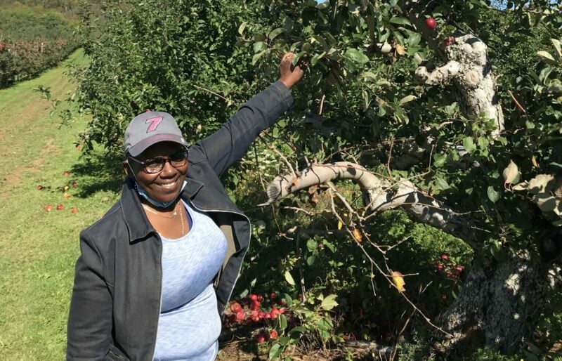 A woman picking an apple