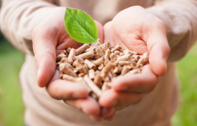 Residual Forest Biomass