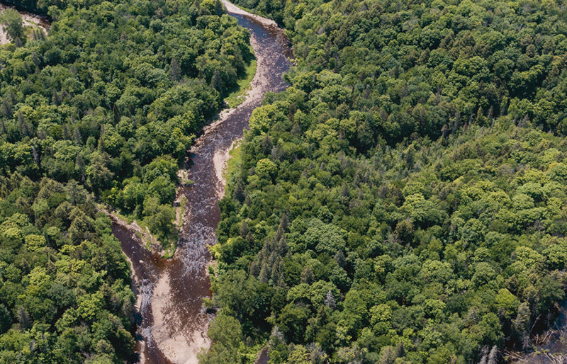 Jonction des rivières du Chêne et Henri et bras mort de la rivière du Chêne (à droite).