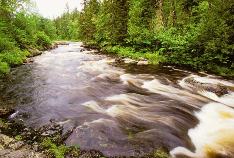 A river flows over a rocky rapid between two forested banks