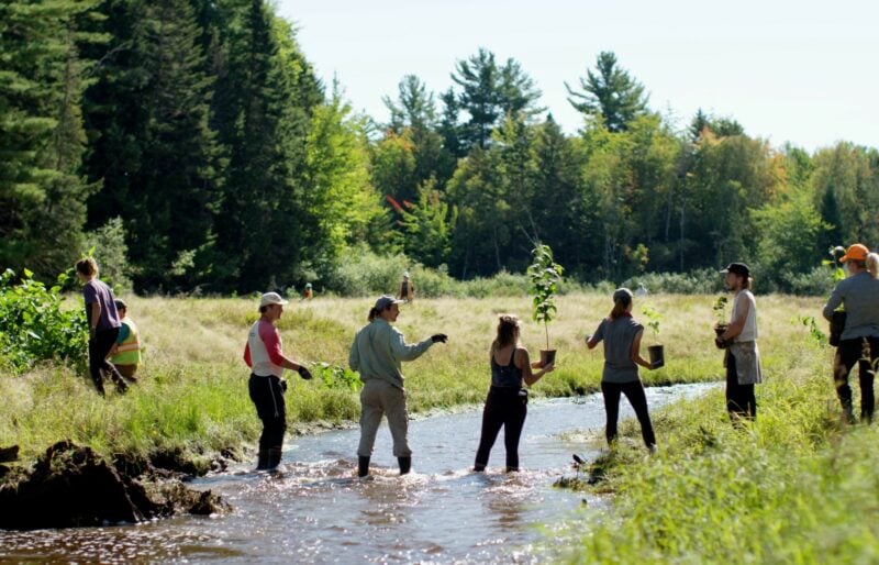 four people stand ankle deep in a stream passing potted tree saplings across