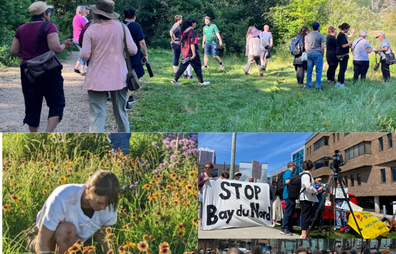 Prairie chapter Indigenous led walks in Edmonton, Alberta Wildflower Garden in Winnipeg, Manitoba and Sierra Club Canada protests against Bay du Nord