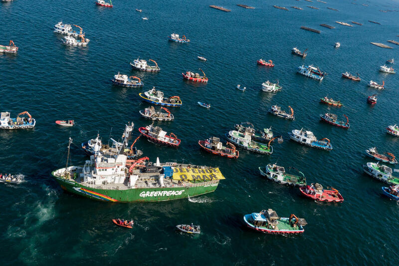 Greenpeace ship surrounded by boats during an ocean protest calling for stronger global protections for marine life and international waters.