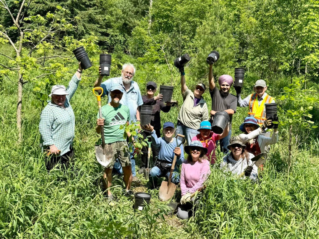 Bruce Trail pathway along the Niagara Escarpment, supported by volunteers who help protect sensitive ecosystems and maintain public access.